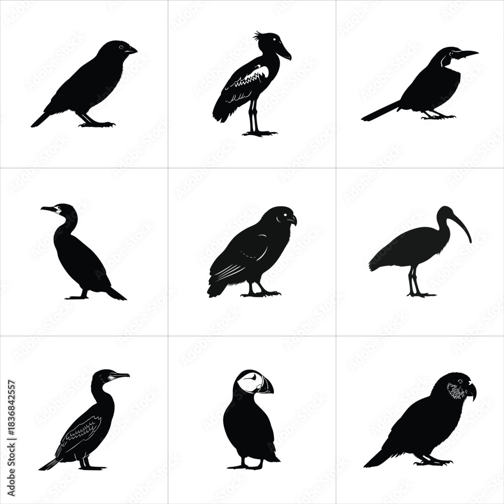 Fototapeta premium Collection of various bird silhouettes isolated on white background