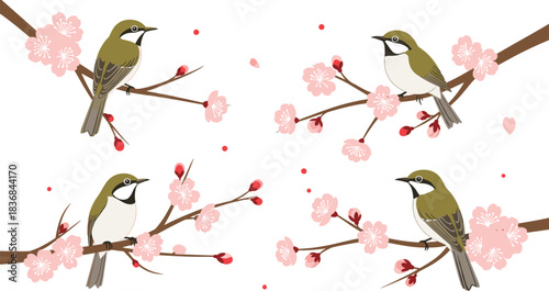 Beautiful green birds perched on blooming cherry blossom branches in elegant spring themed nature vector illustration perfect for decorative artwork and designs