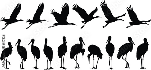 Detailed crane and stork silhouette vector set featuring flying and standing poses, perfect for wildlife illustration, nature design projects, decorative artwork, and creative graphic resources