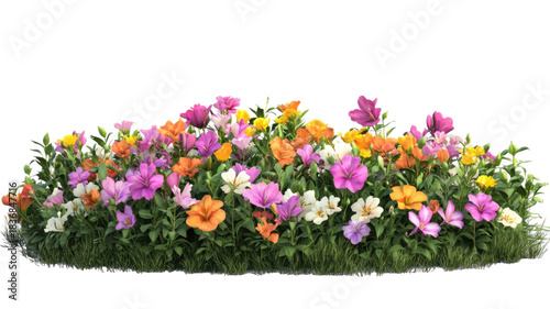 Vibrant spring flower bed filled with colorful blooming blossoms and lush foliage, showcasing seasonal growth and natural garden beauty isolated on white background