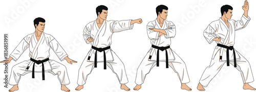 Traditional karate martial arts sequence showing black belt fighter performing dynamic kata movements in multiple stances, detailed vector illustration for training concepts