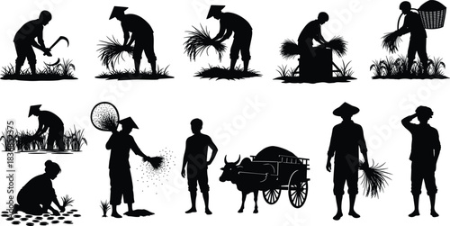 Rice, farming, activity, silhouette, posture, gesture, plant, harvest, thresh, transport, seed, sickle, bundle, cart, basket, setup, agriculture, vector, black, pose, flavector