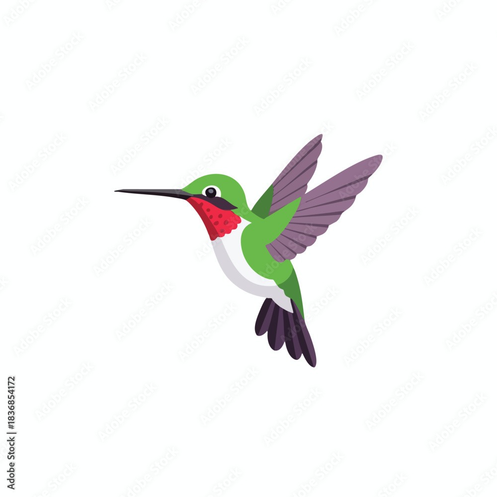 Obraz premium Vibrant Hummingbird in Flight