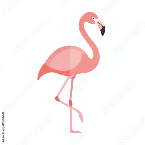 Pink Flamingo Standing on One Leg
