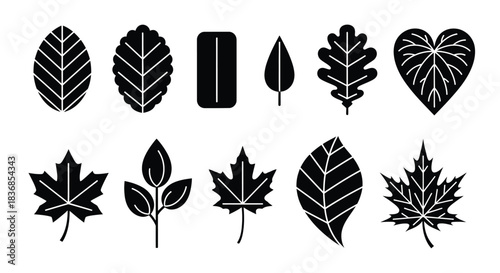 Collection of various leaf silhouettes and shapes