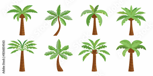 Set of eight different palm trees isolated on white background