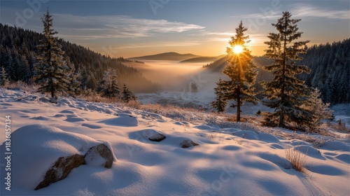 Winter in mountain forest during sunset. Golden hour in dreamlike landscape with snow covered spruce trees and mist in valley. Natural background