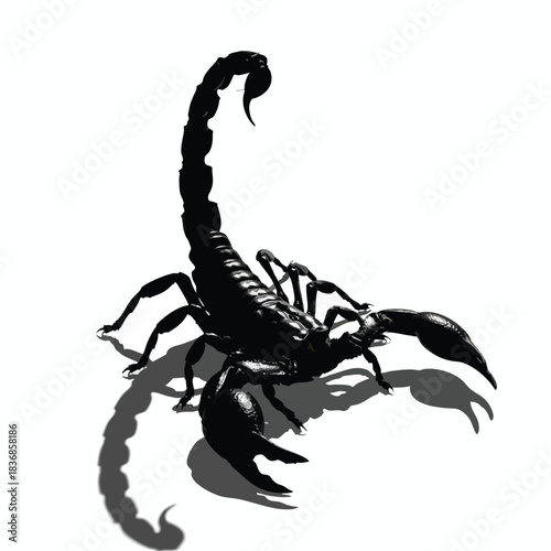 Silhouette of a Scorpion with Shadow