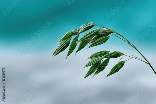 Green leaves gently swaying against a soft, blurred turquoise and gray background. Nature and tranquility concept.