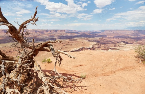White Rim Overlook in Canyonlands' Island in The Sky district
