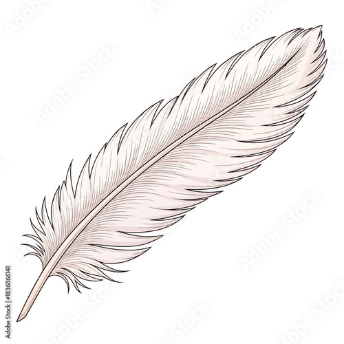Minimalist Vector Illustration of Feather in Organic Style with Soft Neutral Colors