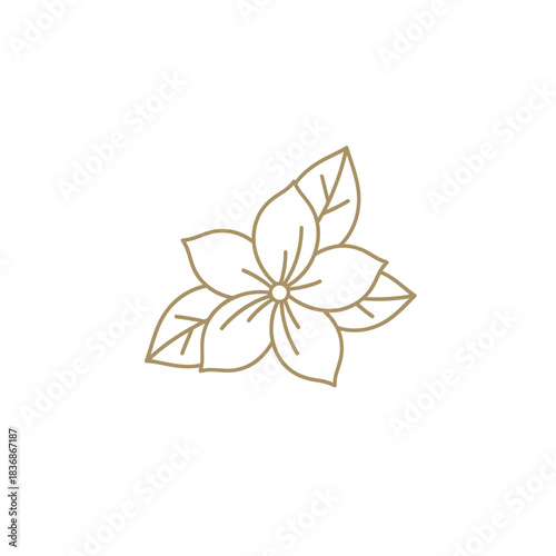 A stylized illustration of a flower with delicate petals and leaves