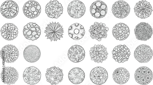 Intricate circular pattern set, abstract textures, floral and fractal designs, biological and organic motifs, flat vector illustration