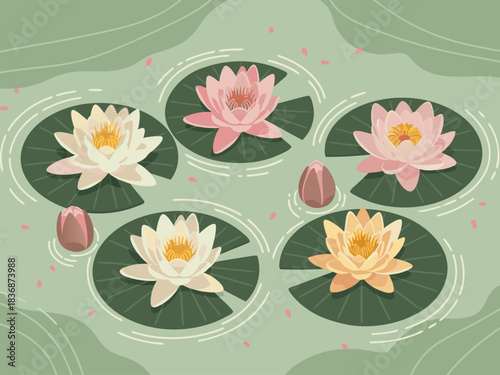 Vibrant Water Lilies Floating Gracefully on a Pond's Surface, Illustrating Tranquil Aquatic Beauty