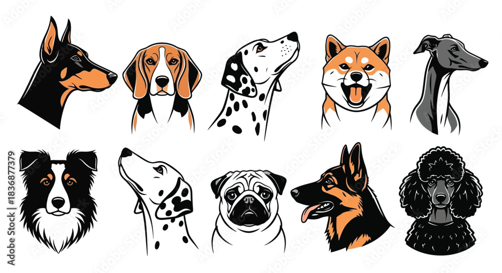 Obraz premium Ten different dog breeds in colorful modern illustrations
