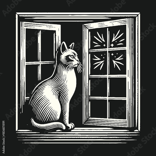 Cat Contemplating the Night Sky Through an Open Window.