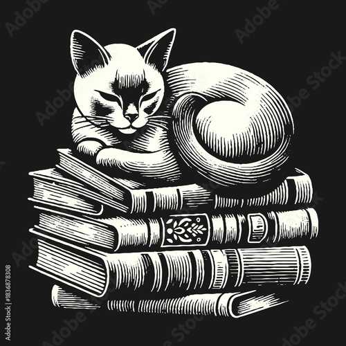 Cat curled up sleeping on a stack of books.