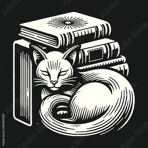 Cat curled up sleeping on a stack of books monochrome illustration.