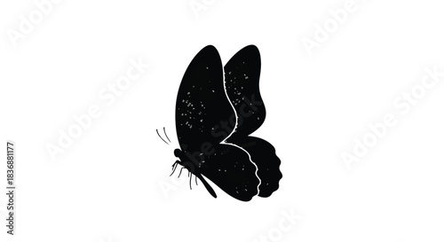Elegant black butterfly silhouette with delicate wings, symbolizing transformation and nature's beauty.