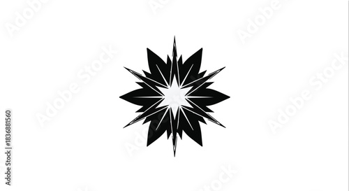 Abstract burst of sharp black petals radiating from a bright white center on a clean white background.