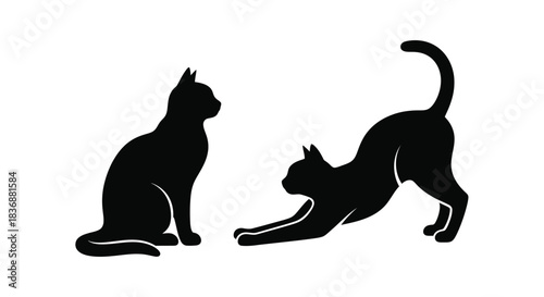 Two black cats in playful and sitting poses