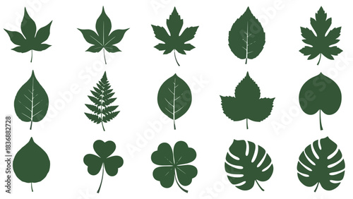 A diverse collection of detailed green leaf vector illustrations, showcasing various botanical shapes and natural foliage elements perfect for ecological and design-oriented projects
