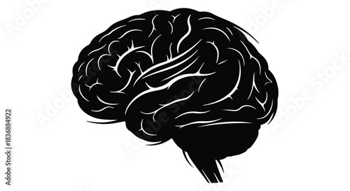 Striking black silhouette of a human brain on a white background, symbolizing thought and intellect.
