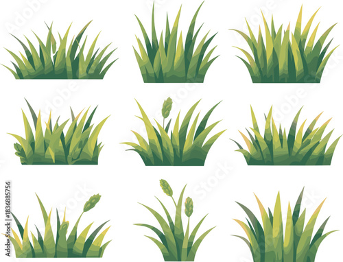 Nature Vector Illustration Set of Green Grass and Meadow Elements: Featuring Different Tussocks and Patches of Lawn with a Stylized, Hand-Painted Aesthetic