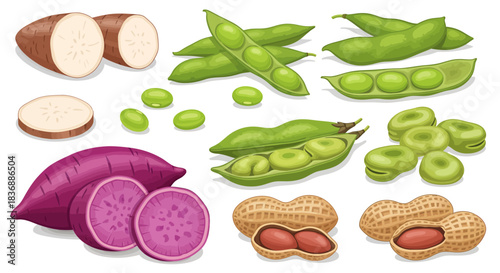 Assortment of various root vegetables and legumes including yuca, purple sweet potato, edamame, fava beans, and peanuts.
