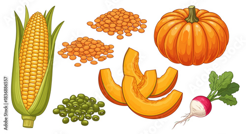 A vibrant collection of fresh vegetables and legumes including corn on the cob, whole pumpkin, pumpkin slices, lentils, green peas, and a radish.