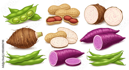 A vibrant collection of various legumes and root vegetables including edamame, peanuts, taro, and purple sweet potatoes.