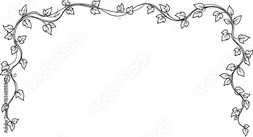 Elegant black-and-white vine frame design creating a refined border ideal for invitations, stationery, or decorative layouts
