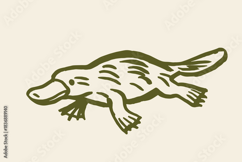Platypus doodle sketch Australia icon vector illustration