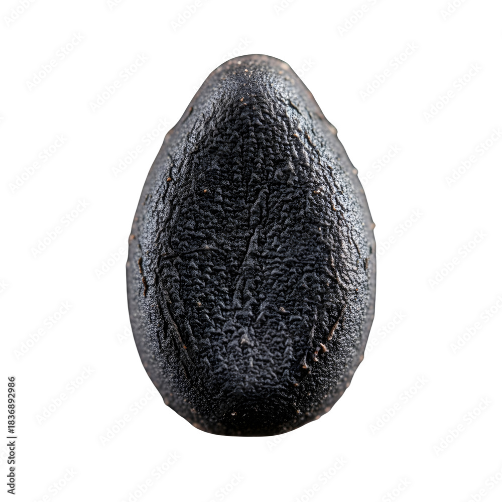 Fototapeta premium Black Sesame Seed Macro Oval