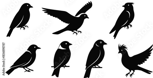 Set of bird silhouettes, vector collection of flying and standing songbirds, sparrows, doves and cardinals, black illustrations on white background
