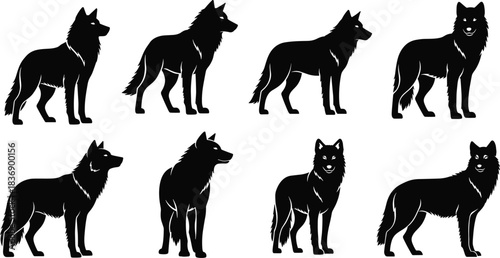 Wolf silhouette set, animal posture collection, black vector wolves, wildlife illustration, editable design, nature reference, standing pose, fur detail