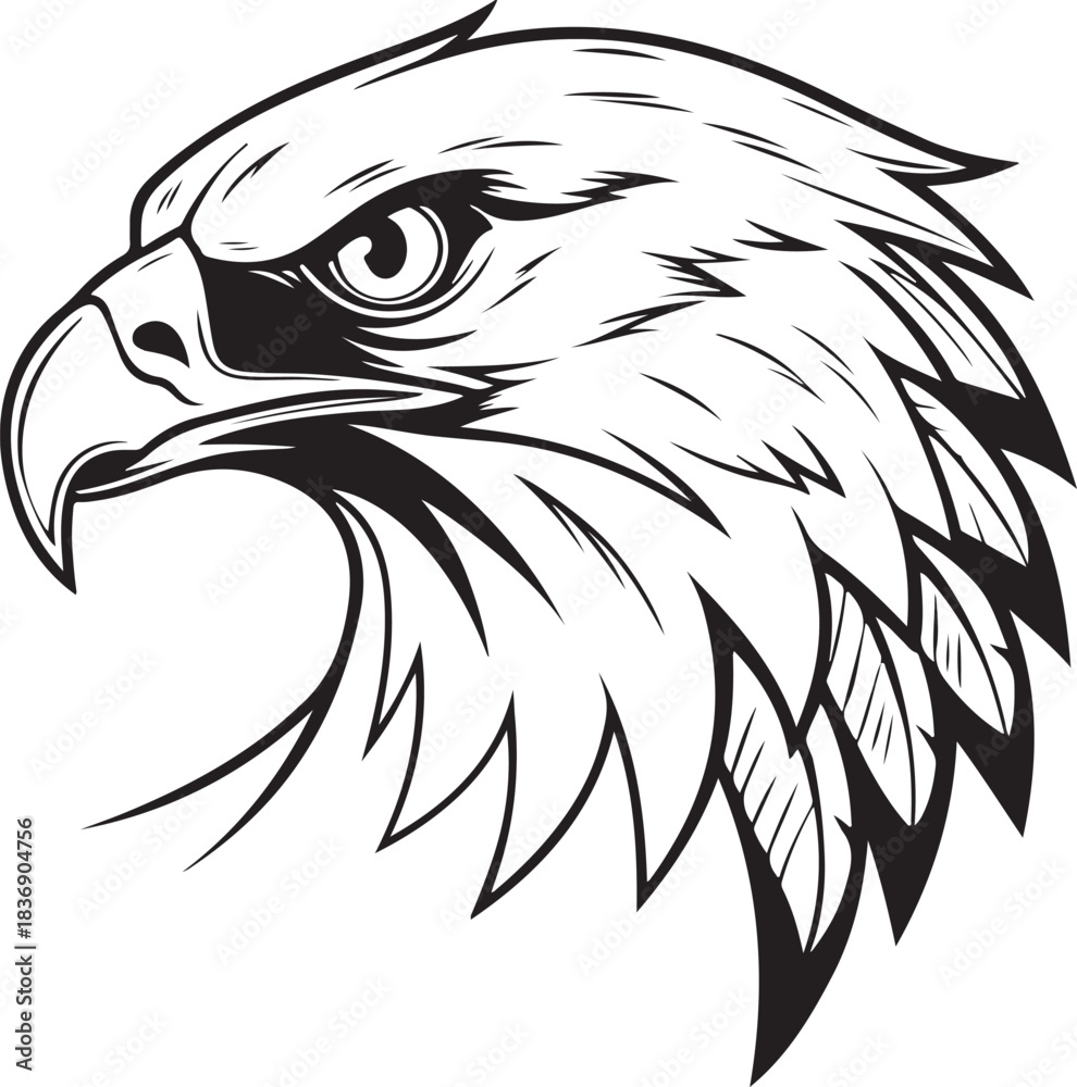 Obraz premium Falcon Head vector style silhouette image