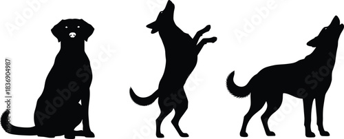 Dog silhouette set in various poses, barking, sitting, and standing up, domestic pet doing tricks and actions, isolated vector illustration