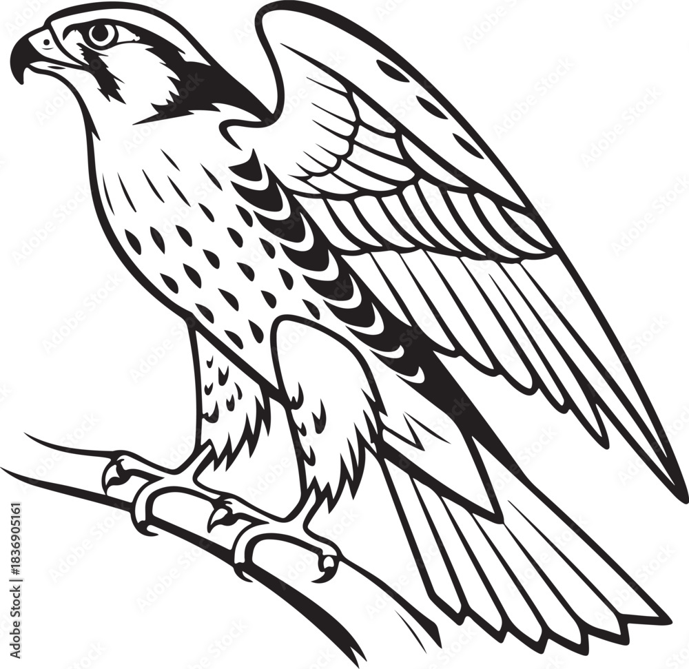 Obraz premium Falcon vector style silhouette image