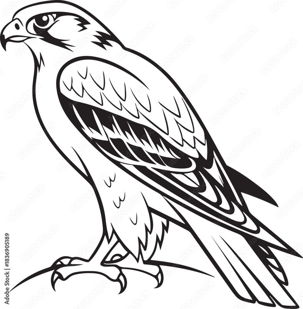 Obraz premium Falcon vector style silhouette image