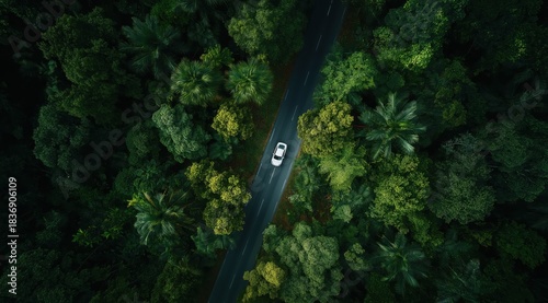 Road Through the Emerald Canopy: An aerial perspective captures a car traversing a winding road through a dense, vibrant forest, creating a sense of adventure and the open road.