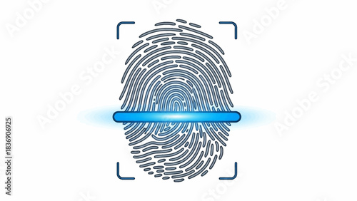 Fingerprint scan icon. Biometric identification symbol. Security access sign. Vector illustration on white background. Blue and gray color scheme. Simple flat design. Identity verification