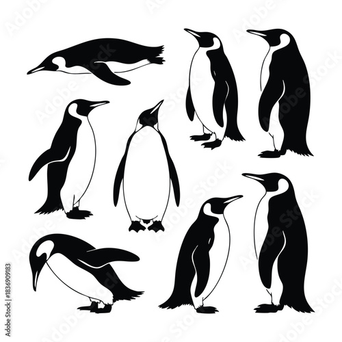 Emperor Penguin Vector Silhouettes, Emperor Penguin Silhouettes Collection, Various Penguin Poses Vector Set, Black and White Penguin Illustrations, Set of Antarctic Bird Drawings, silhouette, vector.