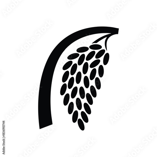 Cluster of Grapes on Vine: Vineyard & Harvest Icon