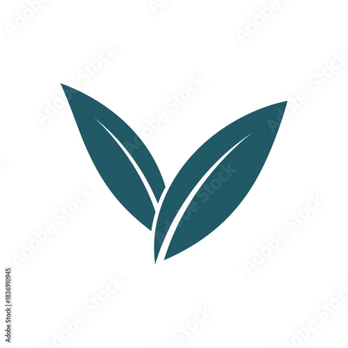 Stylized graphic illustration featuring two simple, dark teal leaves, symbolizing nature, growth, and organic concepts. Ideal for eco-friendly designs and sustainable branding solutions