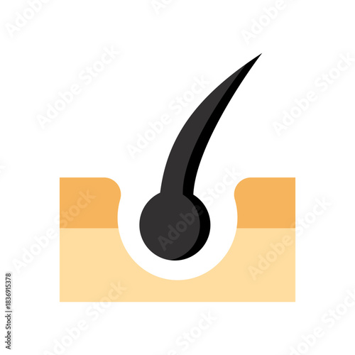 Hair follicle on white background.