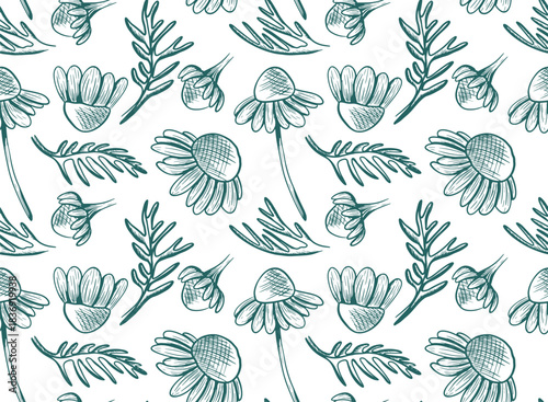 Seamless vector pattern with chamomile flowers and leaves on a stem. Monochrome botanical illustration with wildflowers. Hand-drawn line art with flower silhouettes.