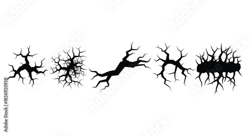 Neuron cells in black silhouette on white background