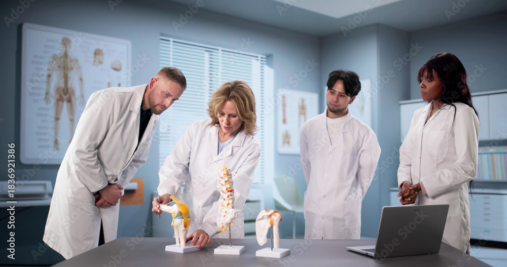 Fototapeta premium Diverse Medical Team Demonstrating Patient Care Techniques