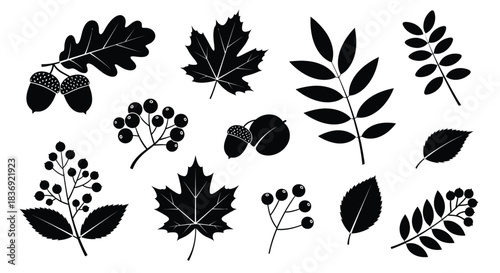 Black leaf and berry silhouettes on white background